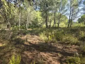 Rustikales Grundstück zum Verkauf in Partida Cumbres de Calicanto, imagen 12