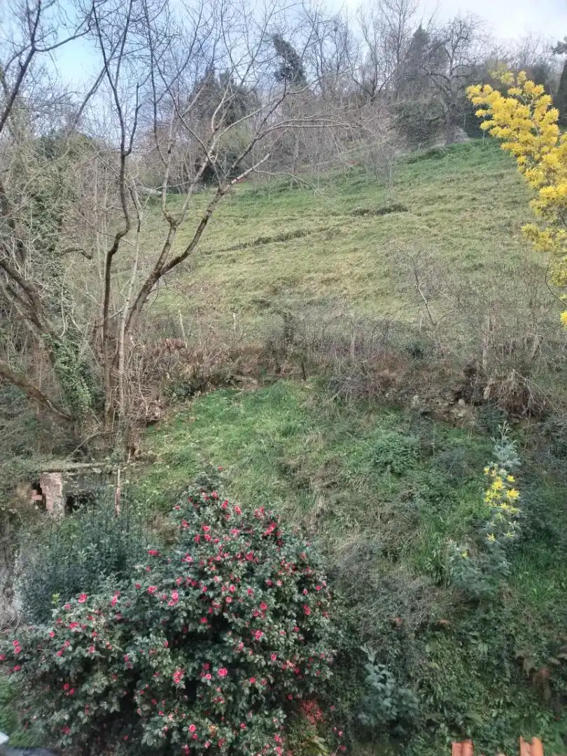 Pis en venda en Mieres (Asturias)