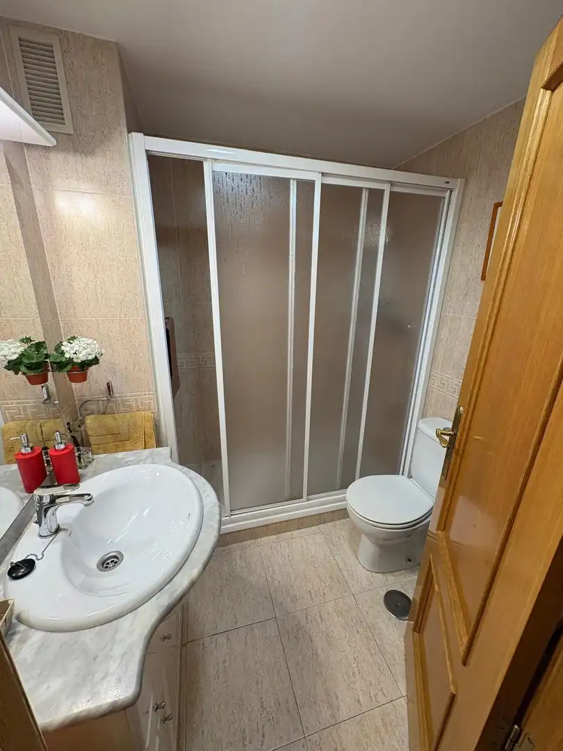 Penthouse with lift for sale in Pla - Carolinas, imagen 10
