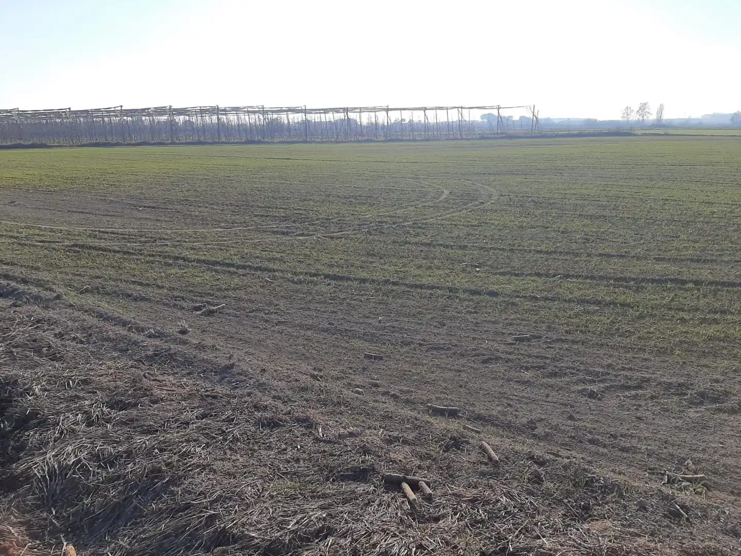 Rural land for sale in Avinguda Balaguer 1981, imagen 12