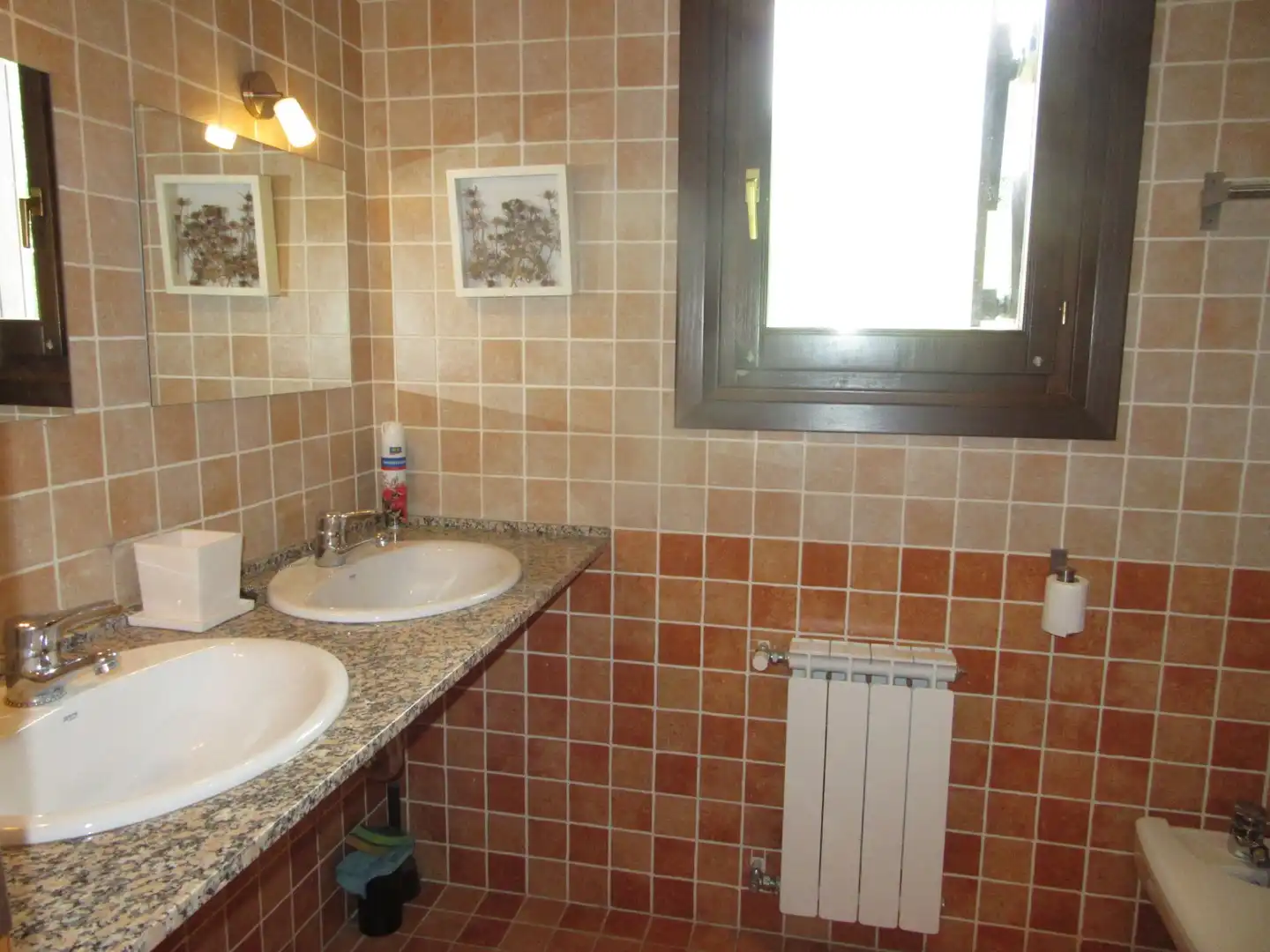 Bathroom of Houses for sale in Castiello de Jaca  with Heating, Private garden and Storage room