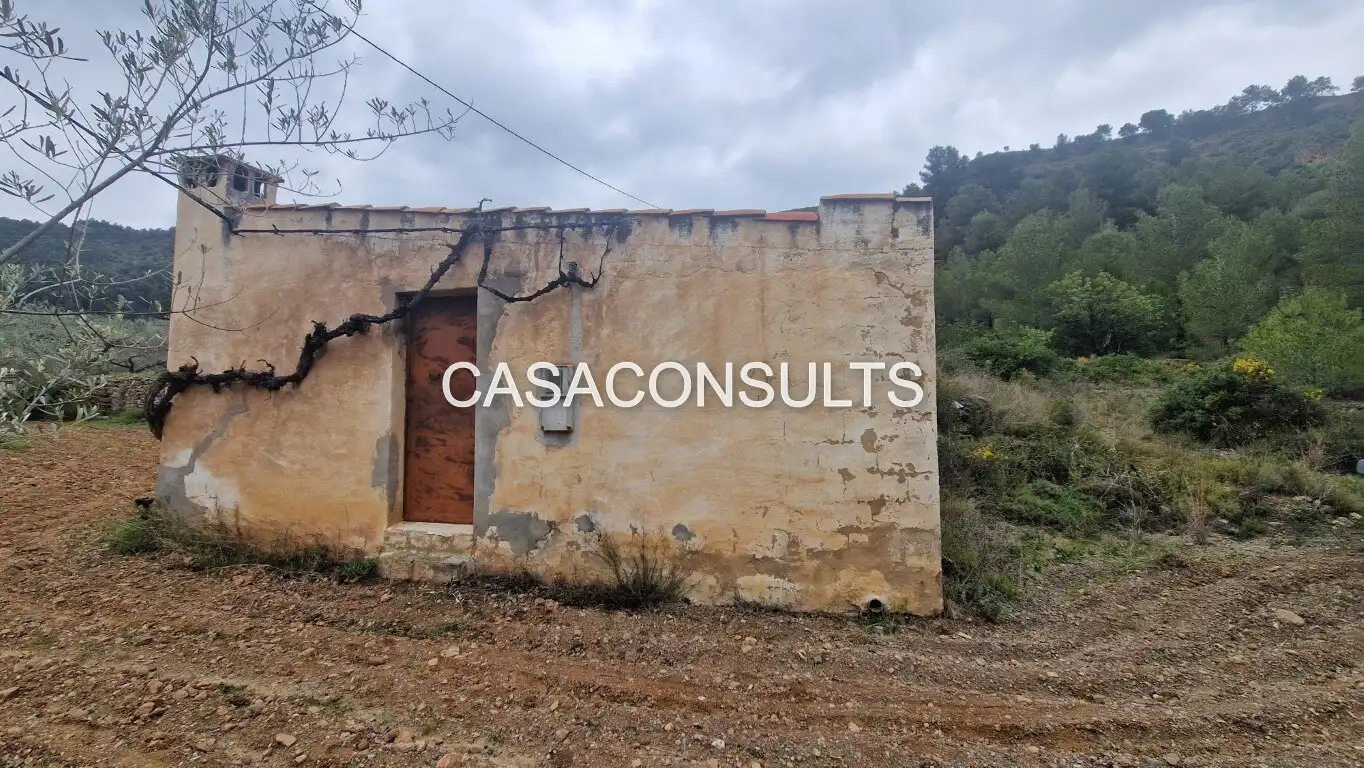 Casa rústica amb jardí en venda a Llucena / Lucena del Cid, imagen 2