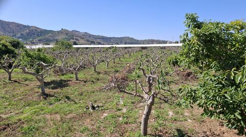 FINCA A LA VENTA EN TORRENUEVA COSTA, immagine 3