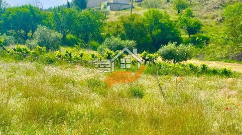 Finca Rúst. en venta en VélezRubio, 5 dormitorios., immagine 3