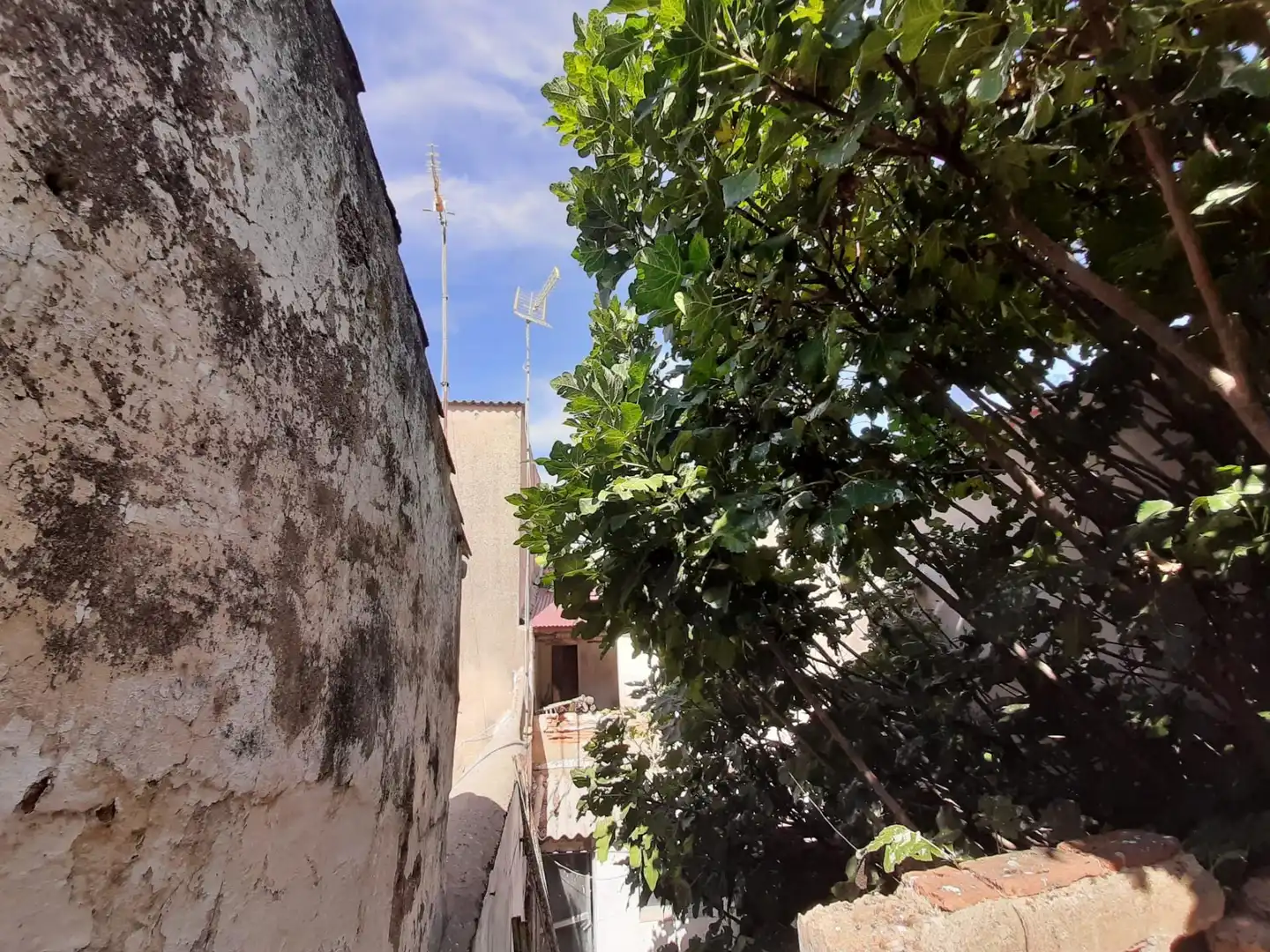 Casa con terrazza in vendita a Casar de Cáceres, imagen 2