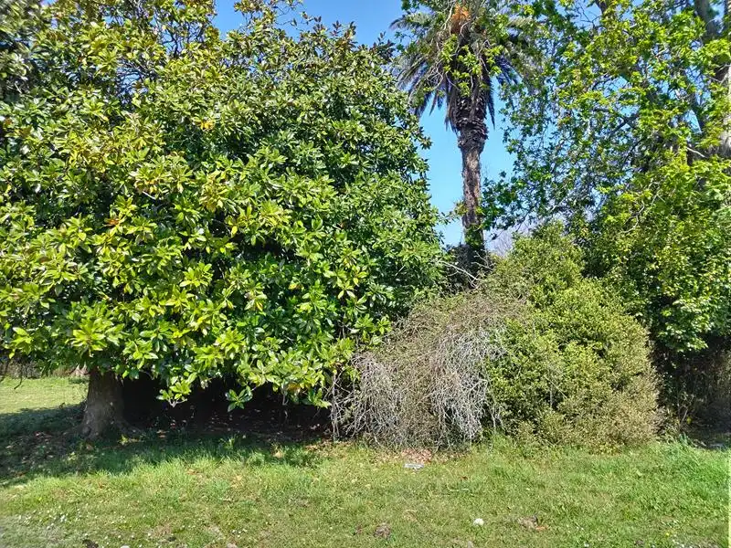 Casa o chalet en venta en Valdés - Luarca