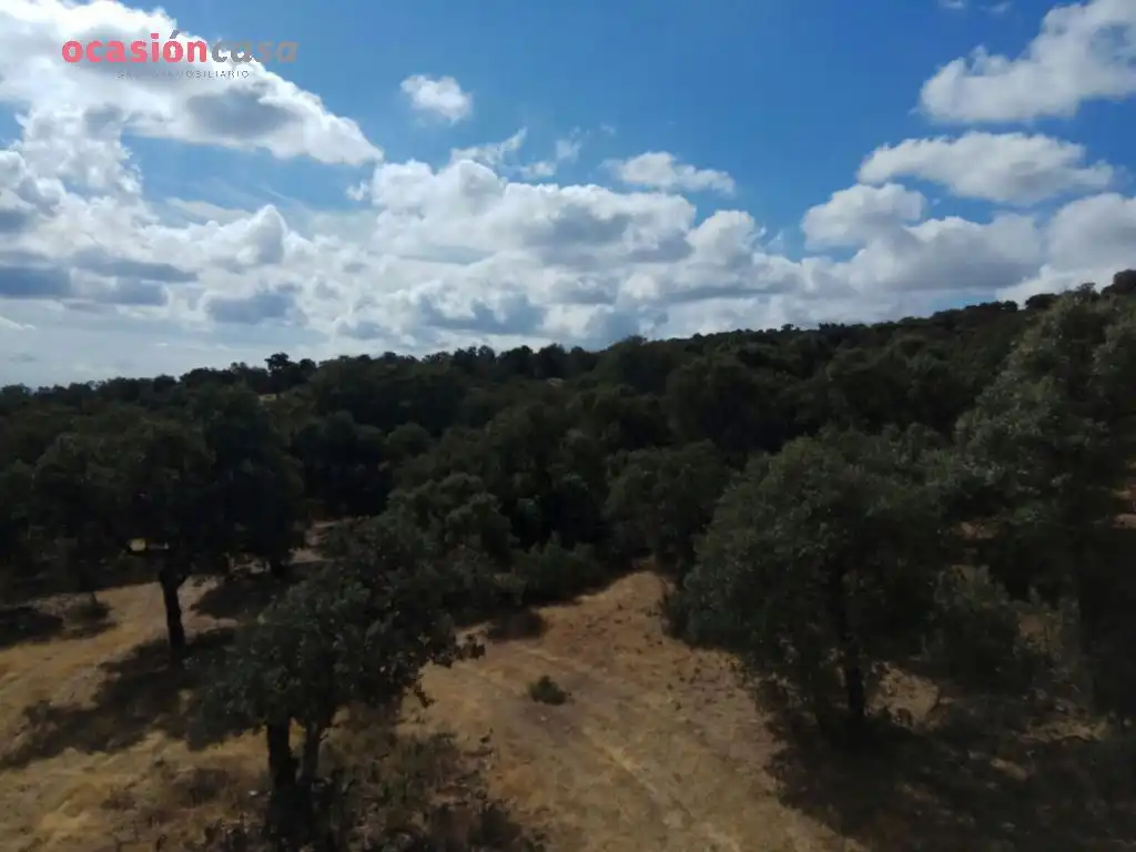 Finca rústica en venta en Villanueva del Duque