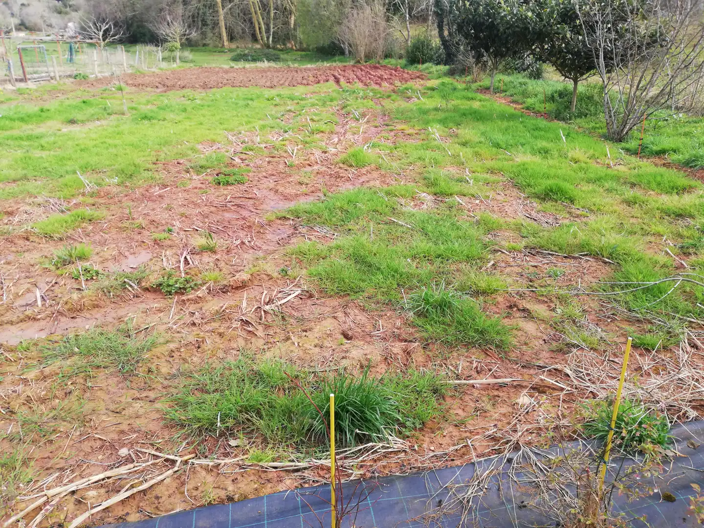 Terreno residencial en venta en Lugar el Cuadro, imagen 3