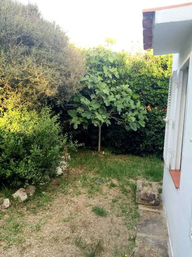 Jardí de Casa o xalet en venda en Ciutadella de Menorca amb Jardí privat, Terrassa i Forn