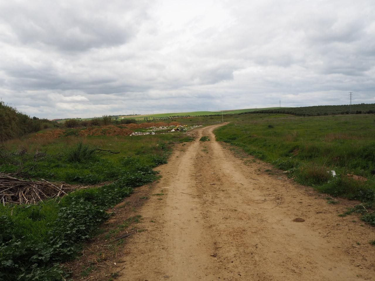 Land for sale in Guillena