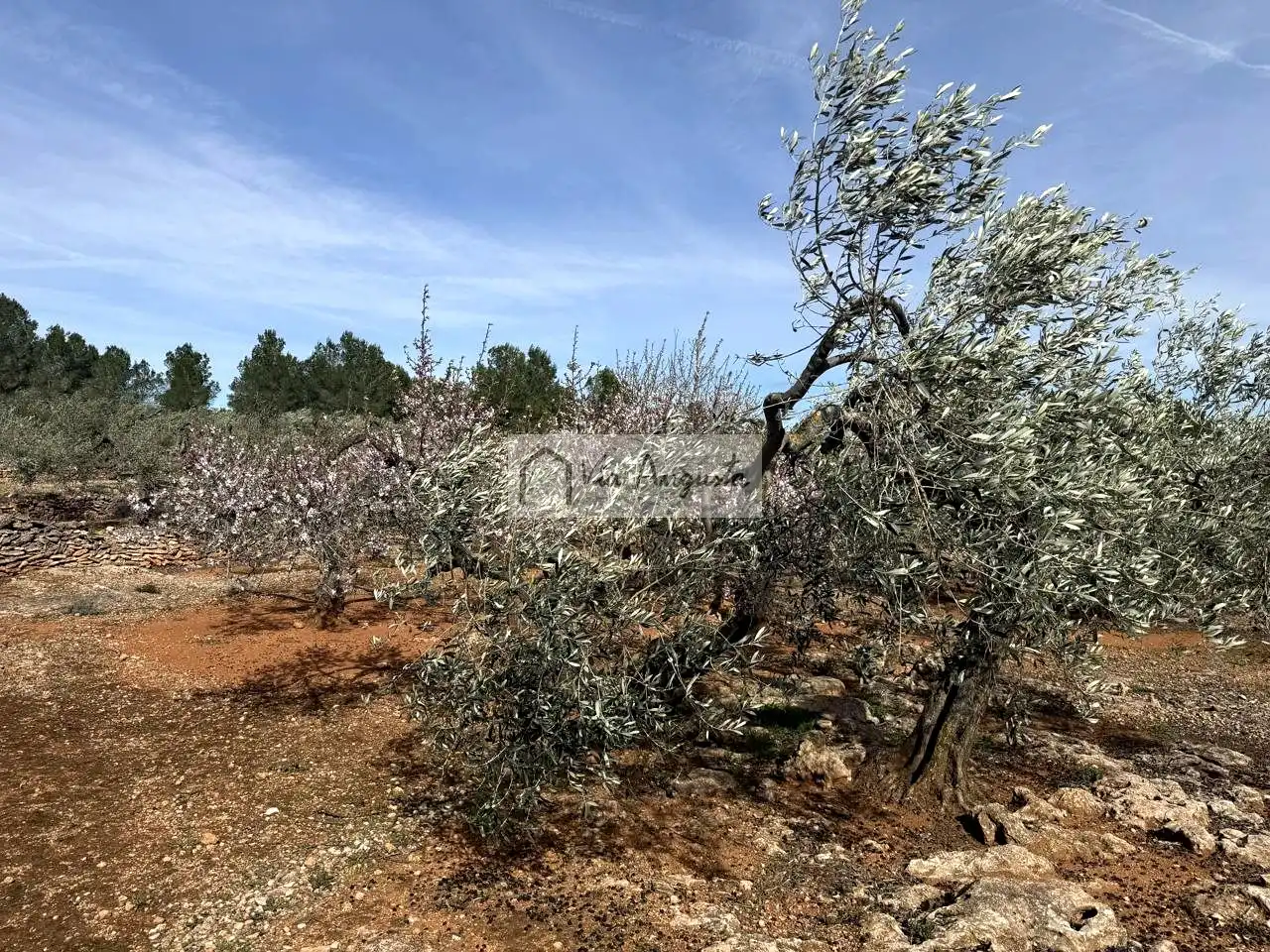 Finca rústica en venda en El Perelló