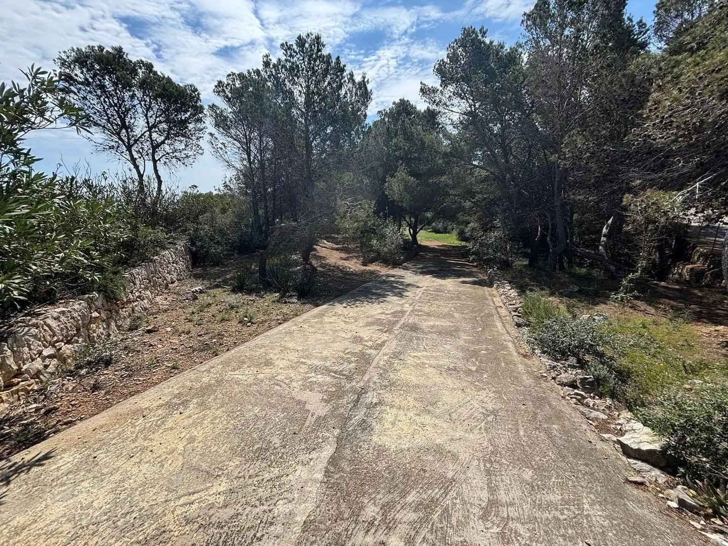 Terreno rustico in vendita a Calle Mimosa, imagen 11