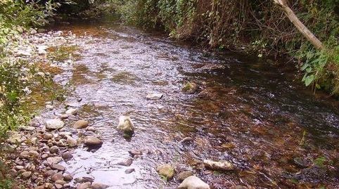 ¡¡ PRECIOSA FINCA LLANA SITUADA AL LADO DEL RÍO  IDEAL PARA DISFRUTAR DEL FIN DE SEMANA EN PLENA NATURALEZA !!., imatge 4