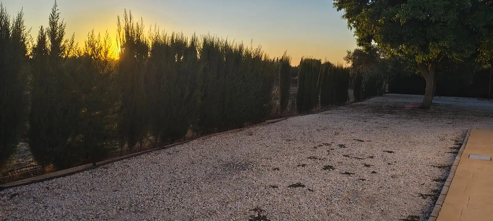 Casa rústica amb piscina en venda a Carretera Fuente Palmera, imagen 7