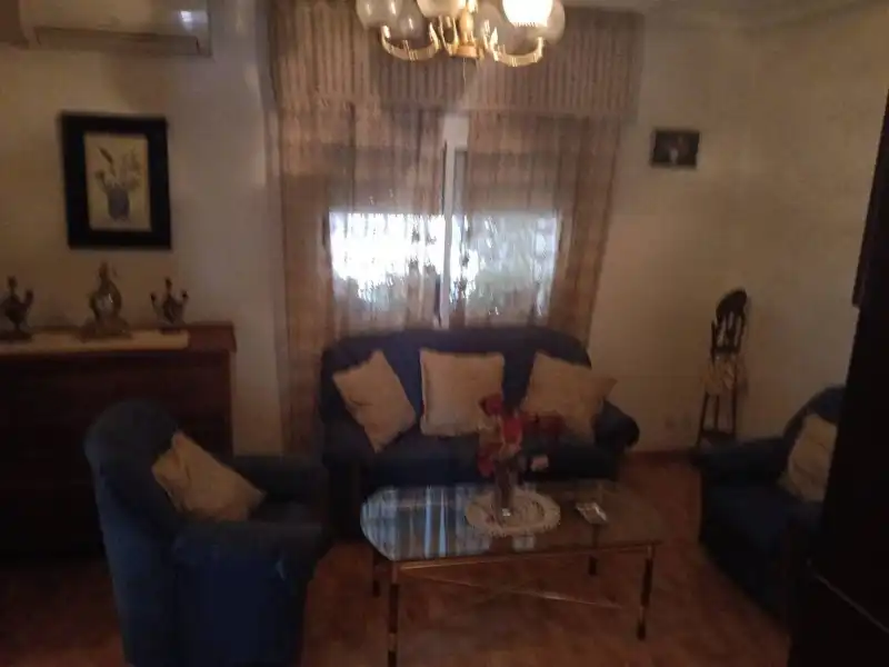 Sala d'estar de Casa o xalet en venda en Puebla de Obando amb Terrassa, Traster i Moblat