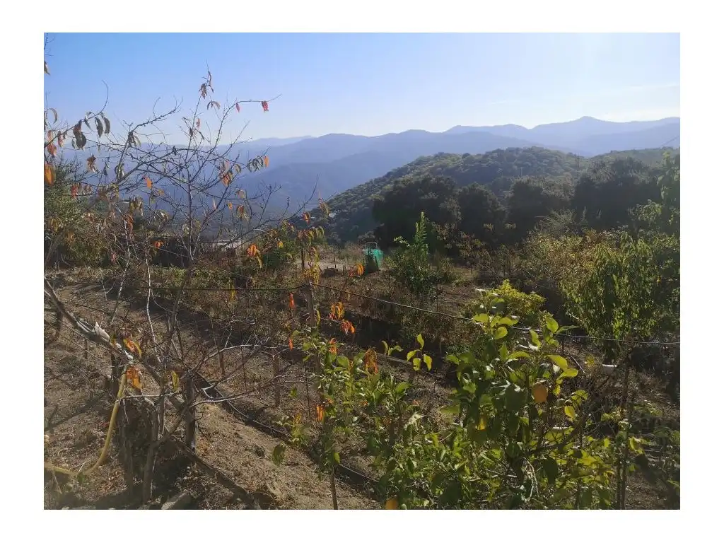 Country homes for sale in Benalauría