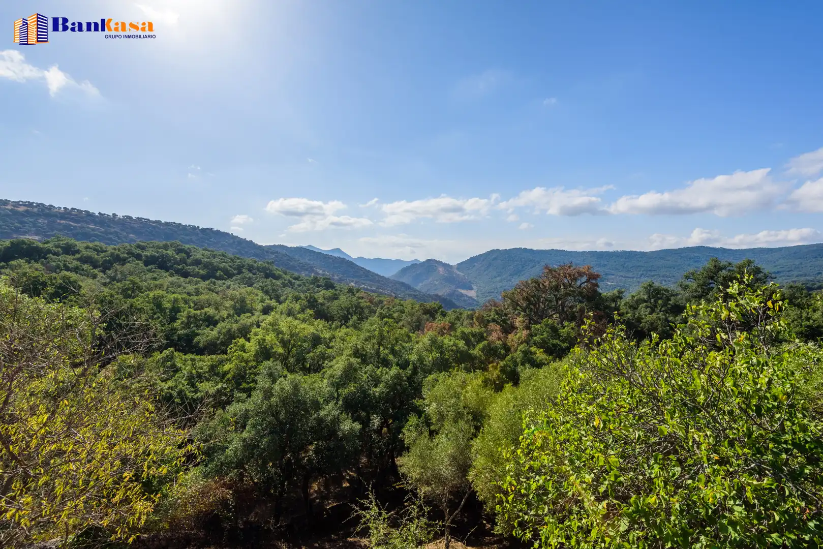 Casa o xalet en venda en Cortes de la Frontera amb Calefacció, Jardí privat i Moblat