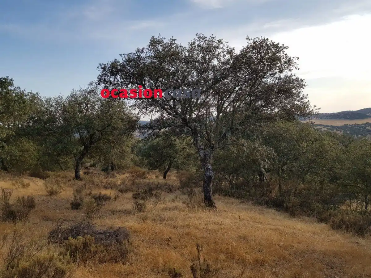 Finca rústica en venta en Espiel con Piscina y Amueblado