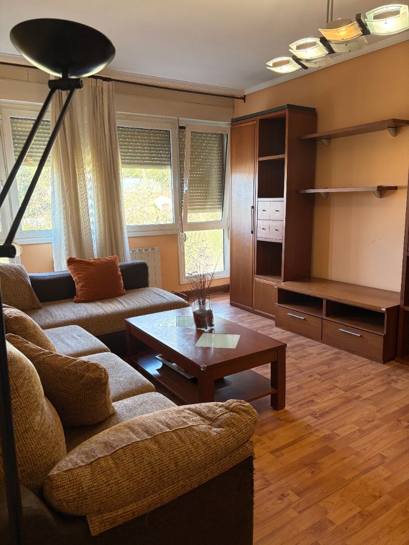 Sala d'estar de Pis en venda en Zaldibar amb Calefacció, Moblat i Forn