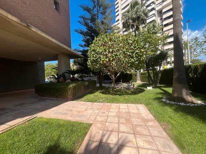 Jardí de Apartament en venda en Benidorm amb Aire condicionat, Calefacció i Terrassa