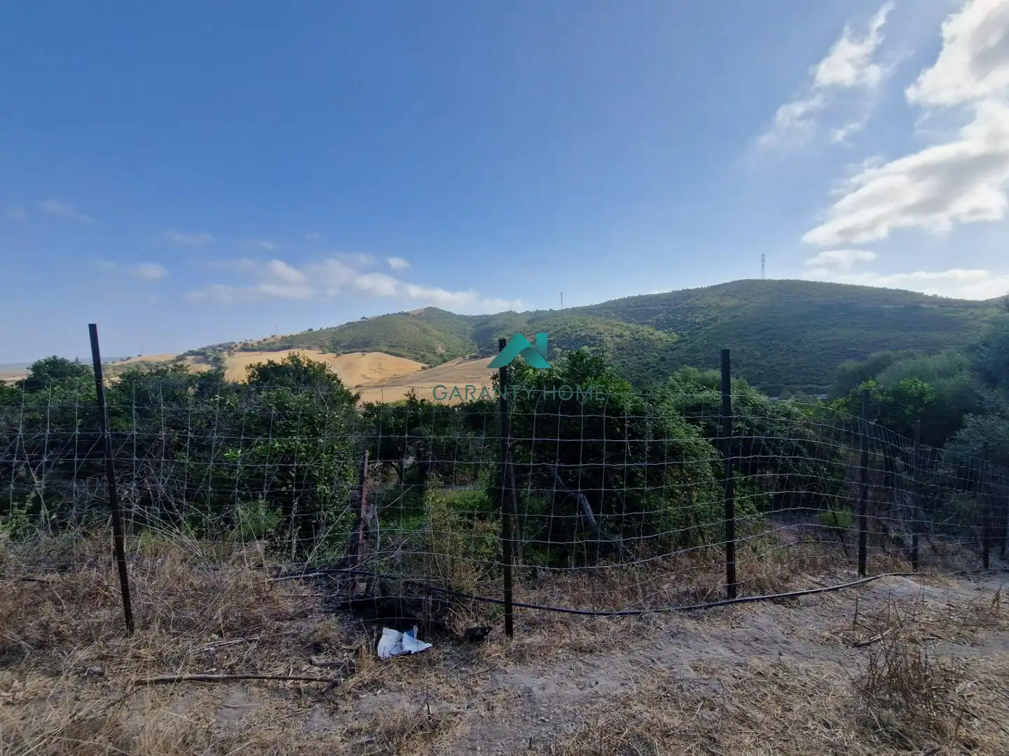 Rural land for sale in San José del Valle, imagen 3