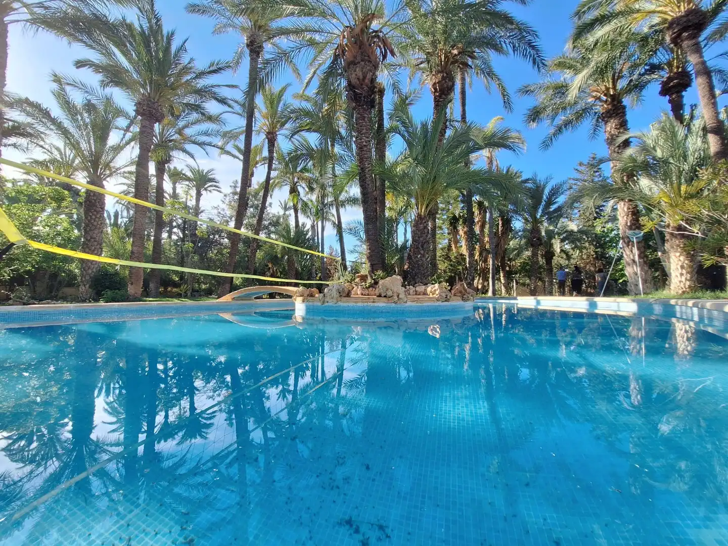 Piscina de Casa o chalet en venta en Elche / Elx