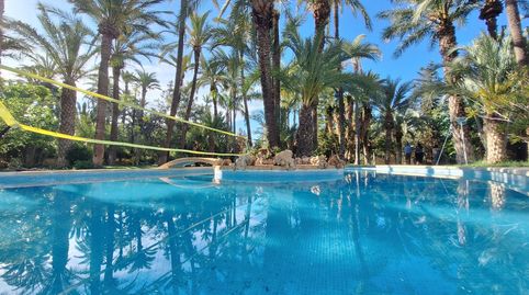 Foto 5 de Casa o chalet en venta en Alzabares, Elche / Elx