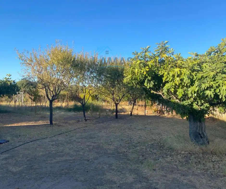 Country homes for sale in Saucedilla  with Air Conditioner, Storage room and Furnished