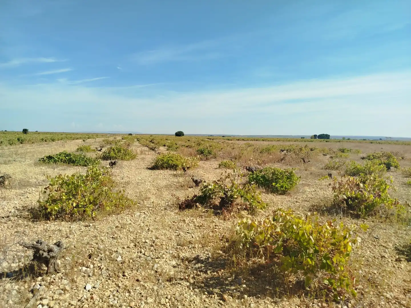 Terrenos y solares en venta en Quintanar de la Orden, imagen 2