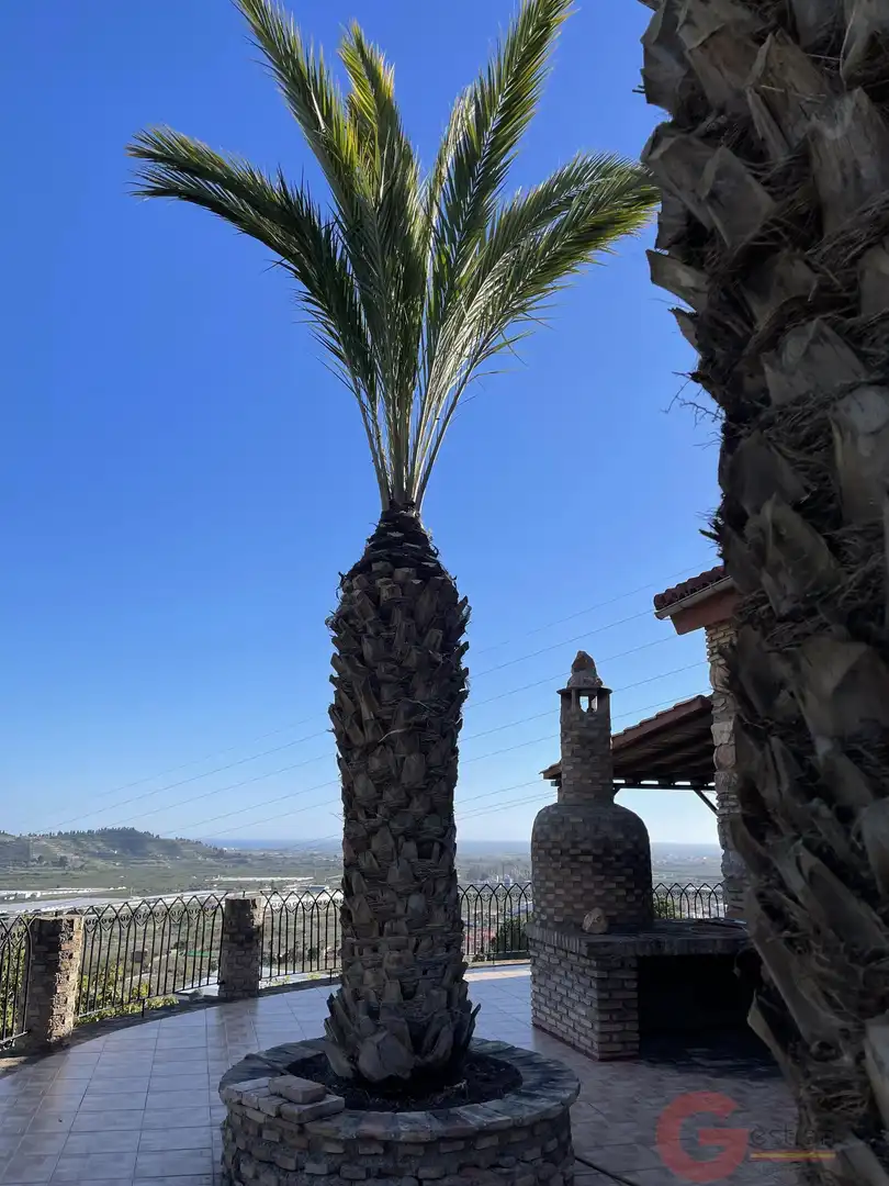 Vista exterior de Finca rústica en venta en Salobreña con Terraza y Piscina