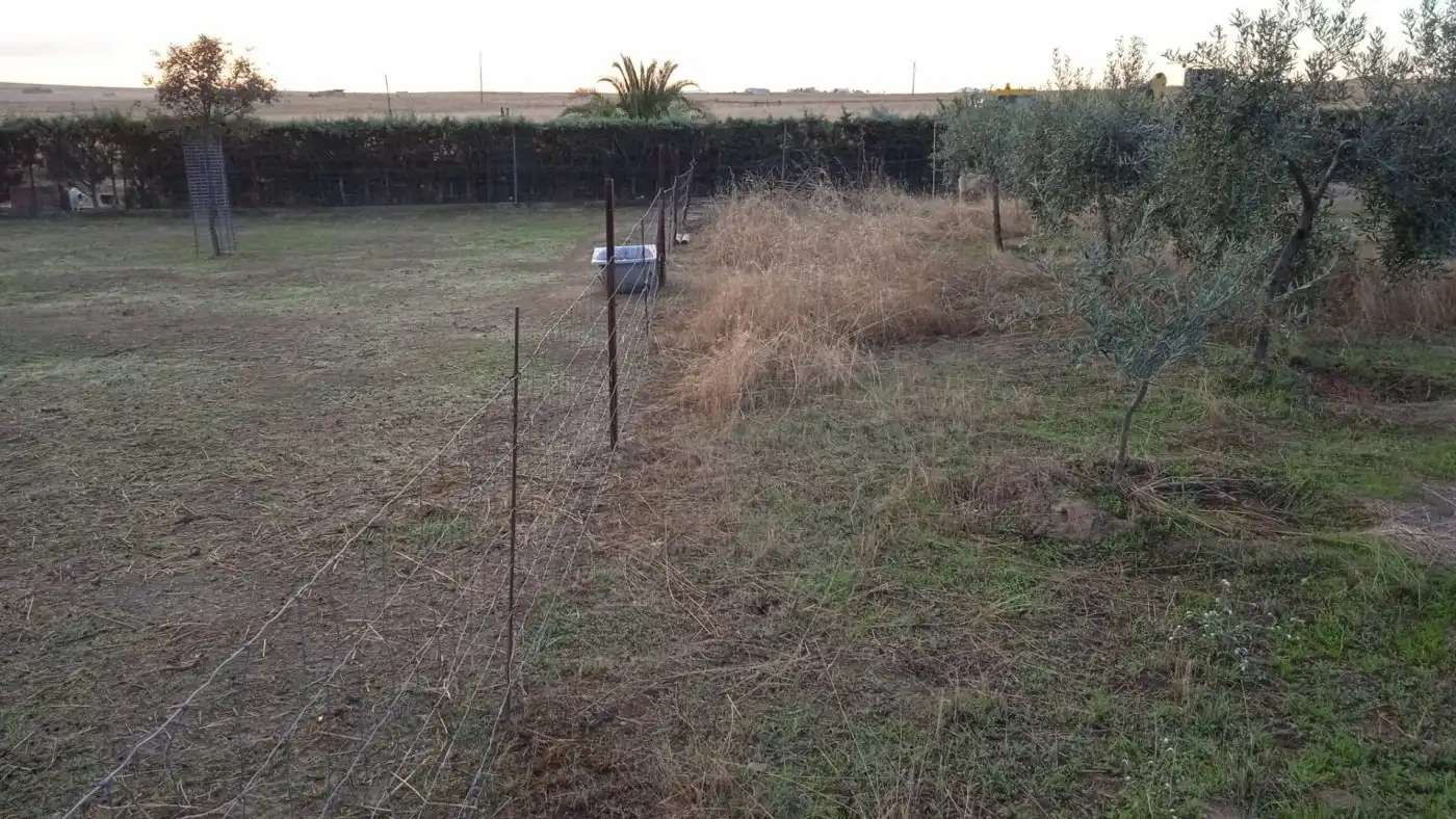 Terreni e lotti in vendita a Sierra de Fuentes, imagen 3