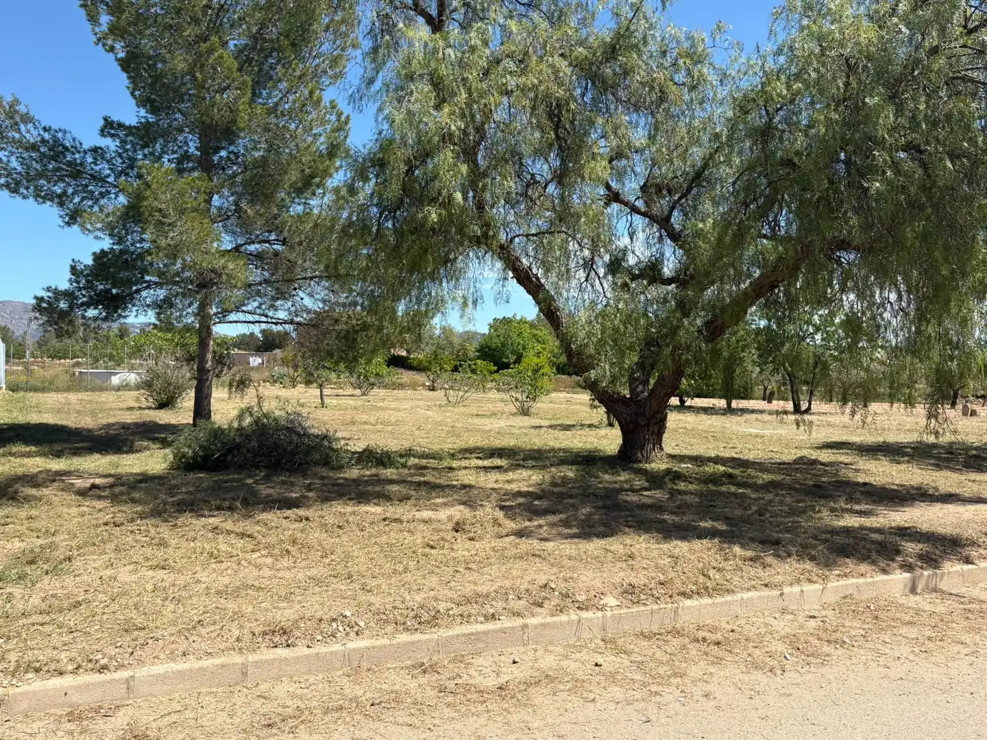 Residential land for sale in El Pinós / Pinoso, imagen 8