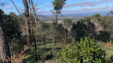 Fantastico Terreno Unifamiliar, imatge 3