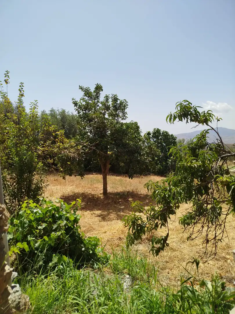 Casa con jardín en venta en Calle Santa Teresa, imagen 47