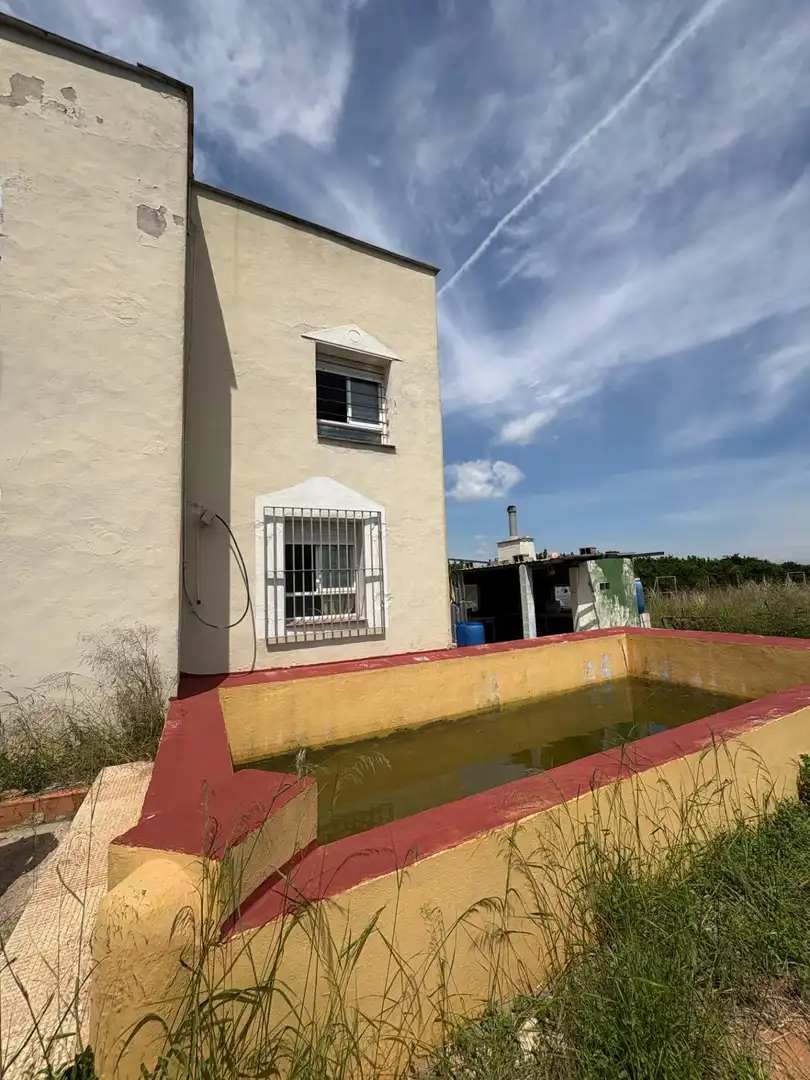 Exterior view of Country homes for sale in Alzira  with Private garden, Terrace and Swimming Pool