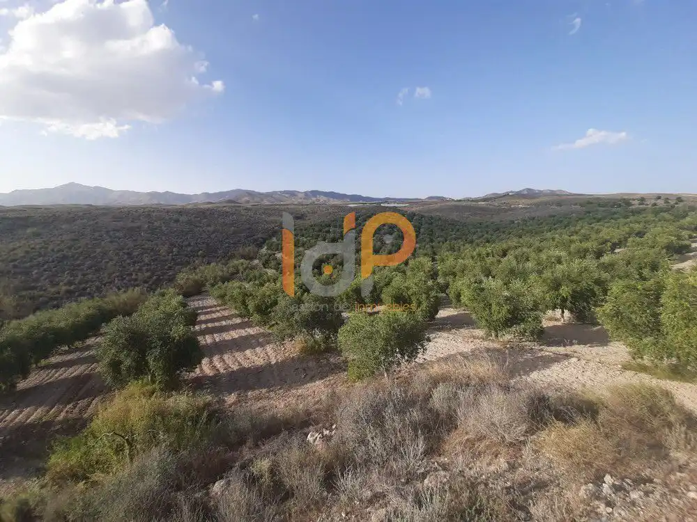 Maison à vendre à Sorbas, imagen 13