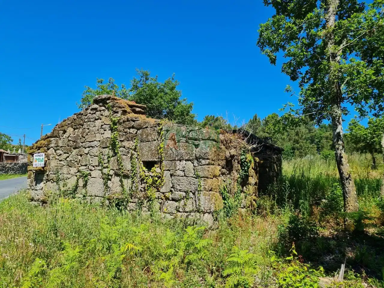 Vista exterior de Finca rústica en venta en Amoeiro con Calefacción y Jardín privado