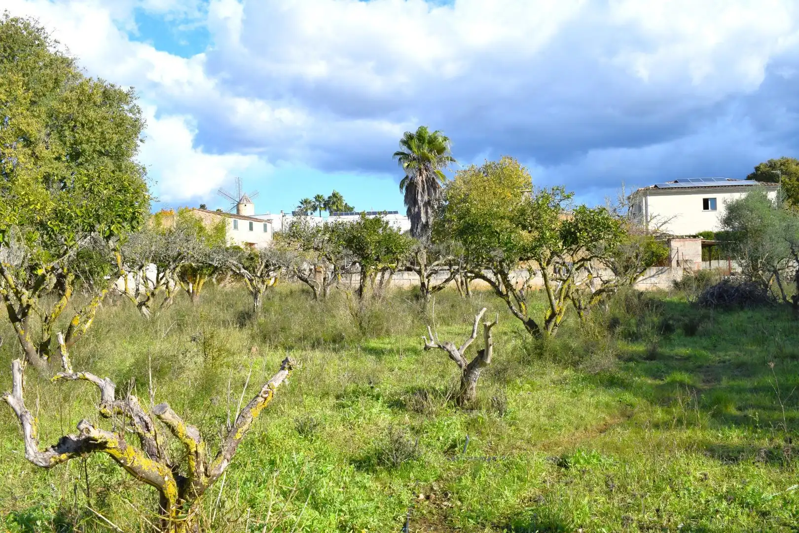 Residential land for sale in Llubí, imagen 31