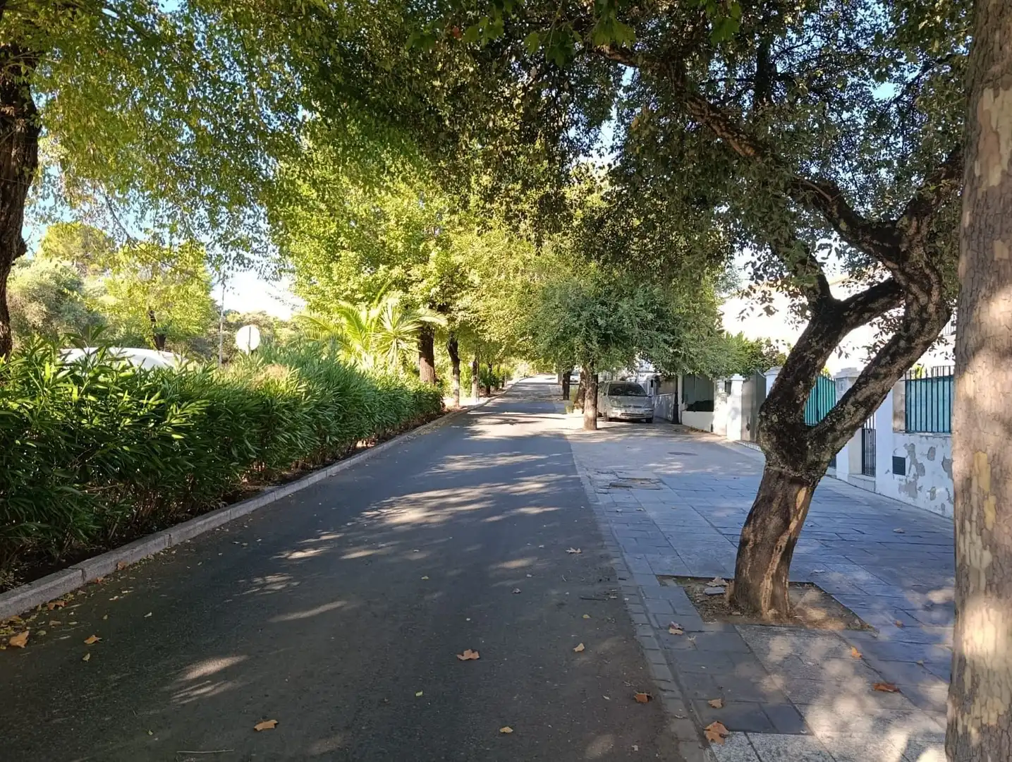 Reihenhaus mit Garten zum Verkauf in Castilblanco de los Arroyos, imagen 66