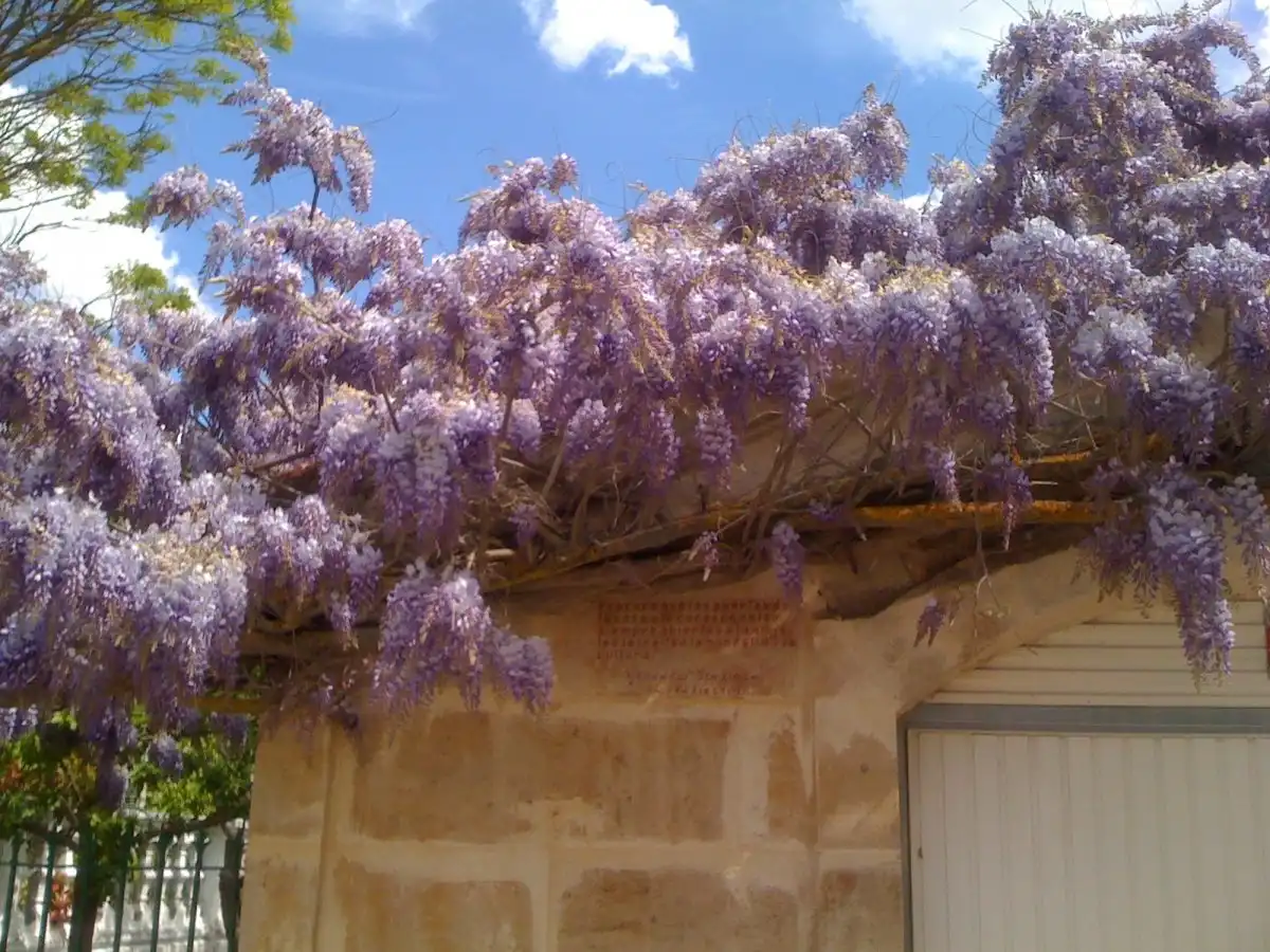 Vista exterior de Casa o chalet en venta en Valverdón con Trastero y Piscina