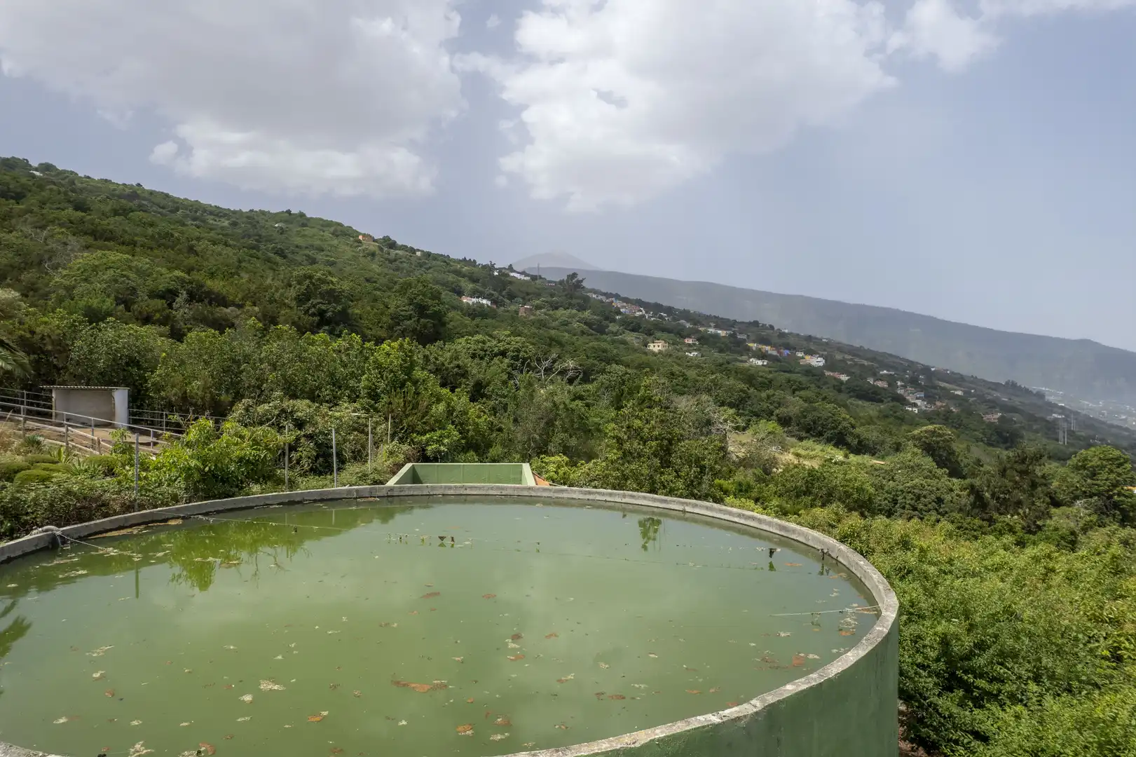 Swimming pool of Houses for sale in La Orotava  with Private garden, Terrace and Storage room