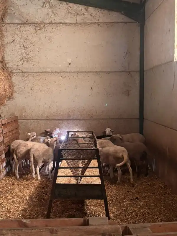 Vista exterior de Finca rústica en venda en El Saucejo amb Aire condicionat, Calefacció i Moblat