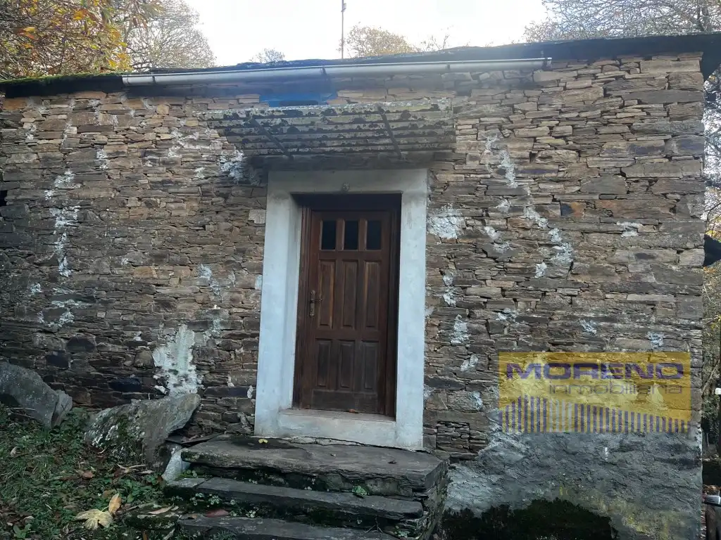Vista exterior de Finca rústica en venta en O Incio 