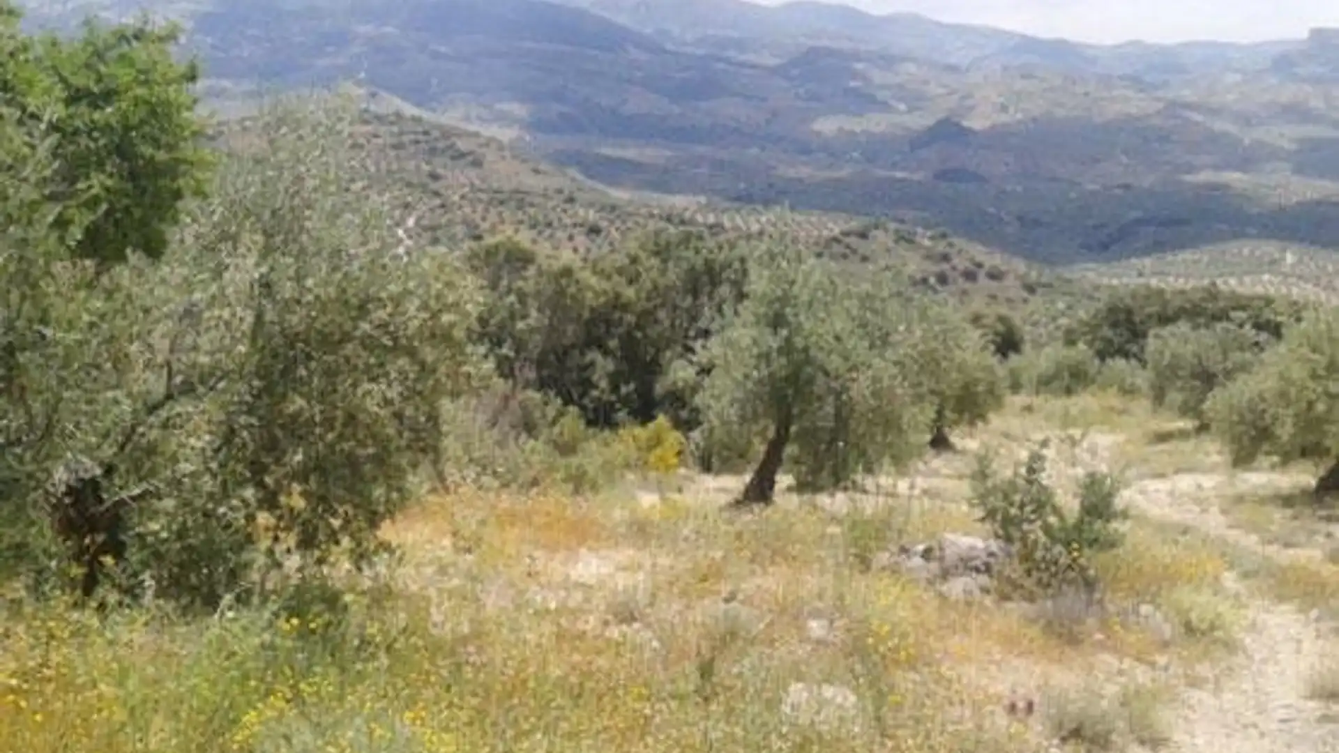 Residencial en venta en Castillo de Locubín