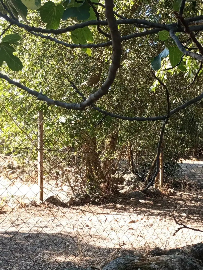 Terreni e lotti in vendita a Candeleda, imagen 7
