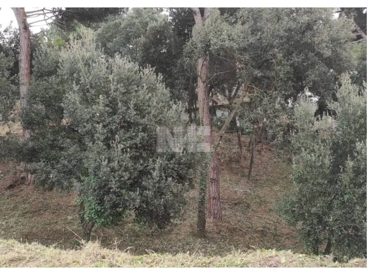 Rural land for sale in Vallromanes, imagen 6