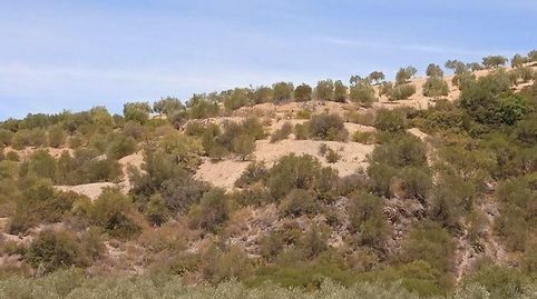 Promoción de terrenos en venta en pre. el jeme, polígono 60 en Morón de la Frontera