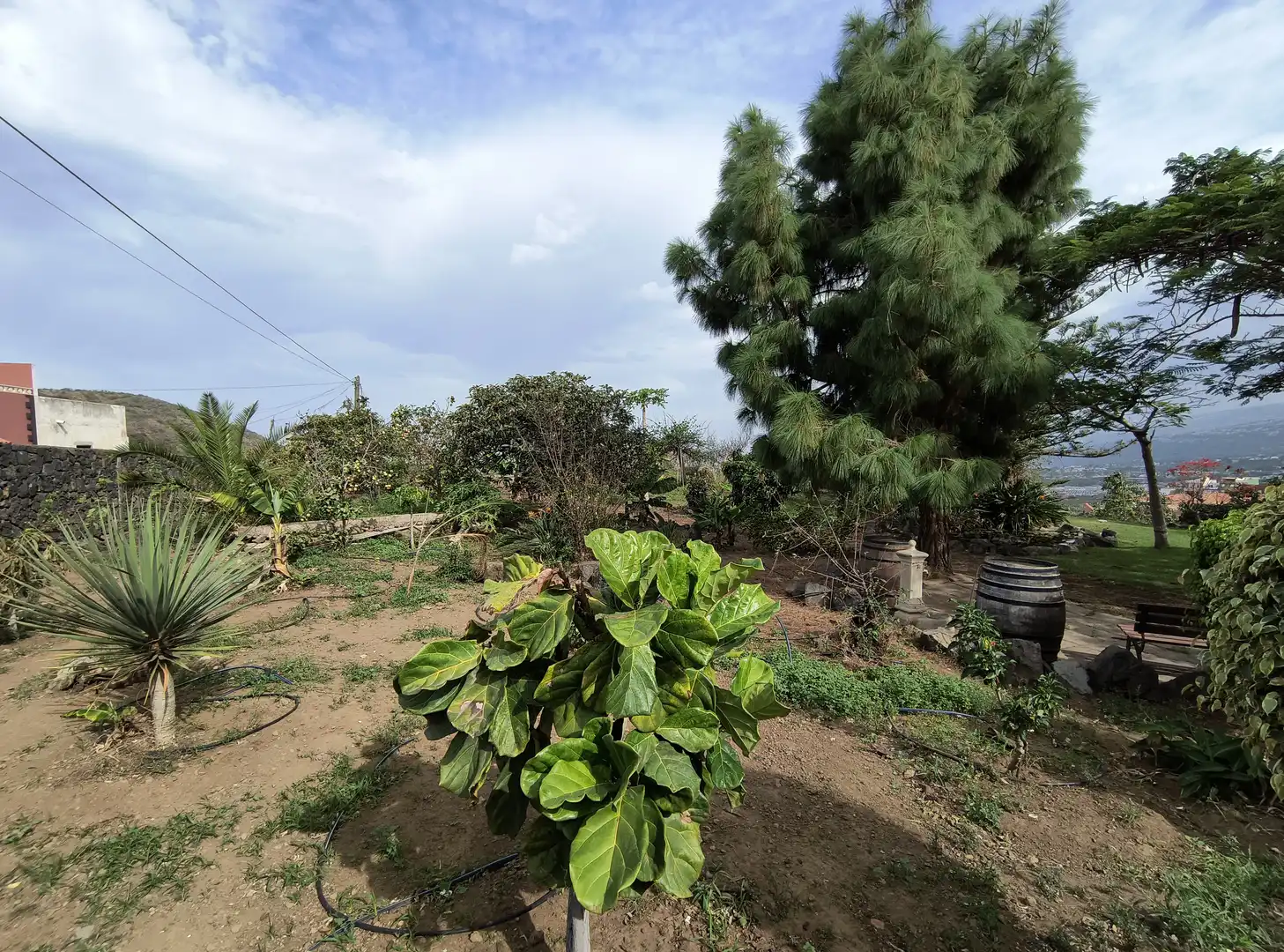Casa o chalet en venta en La Orotava con Jardín privado, Parquet y Terraza