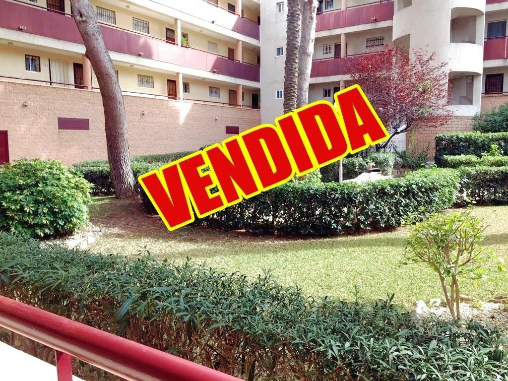 Garden of Planta baja for sale in Pilar de la Horadada