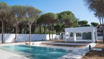 Jardí de Casa o xalet en venda en Chiclana de la Frontera amb Aire condicionat, Piscina i Balcó